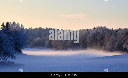 Långvreta en hiver, près de Frösvik, Vaxholm, Suède Banque D'Images