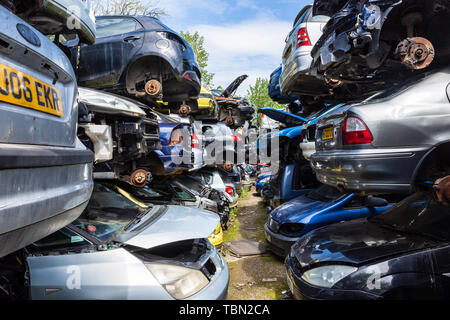 Les voitures avec leurs roues enlevés sont empilés en rangées de pieux de 3 voitures avec des chemins entre les disjoncteurs dans un parc à ferrailles Banque D'Images