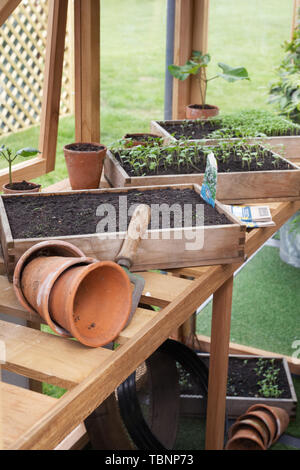 Semis dans une serre de la RHS Malvern Spring Show. Banque D'Images