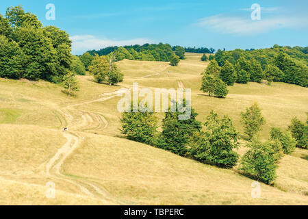 Pays route qui serpente à travers la pente pré. surmonté d'herbe sur les pâturages. des forêts primaires de hêtres sur la colline. Beaux paysages ruraux en été avec Banque D'Images