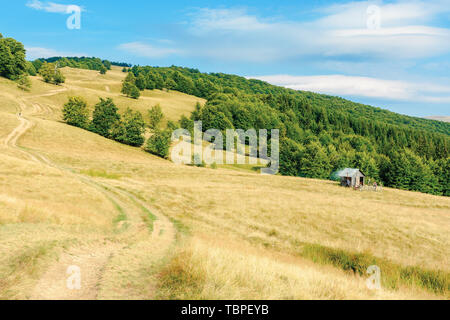 Pays route qui serpente à travers la pente pré. surmonté d'herbe sur les pâturages. des forêts primaires de hêtres sur la colline. Beaux paysages ruraux en été avec Banque D'Images