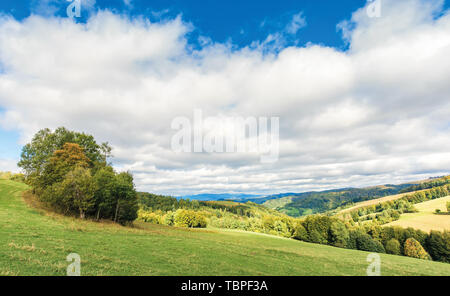Campagne septembre nuageux dans les montagnes. des arbres feuillus pré herbeux. les nuages couvrent le ciel bleu, le vent. Banque D'Images