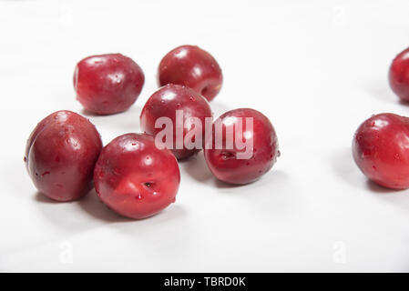 Prune rouge posé nonchalamment sur fond blanc Banque D'Images