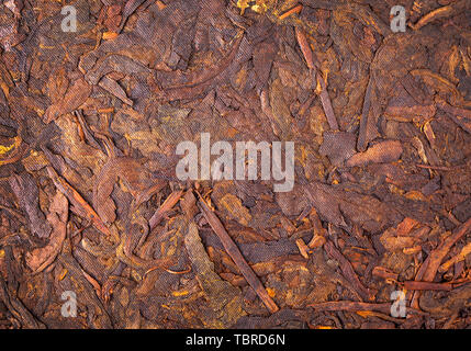 Surface du vieux Shu Puerh thé noir fermenté chinois, vue du dessus, macro photo Banque D'Images