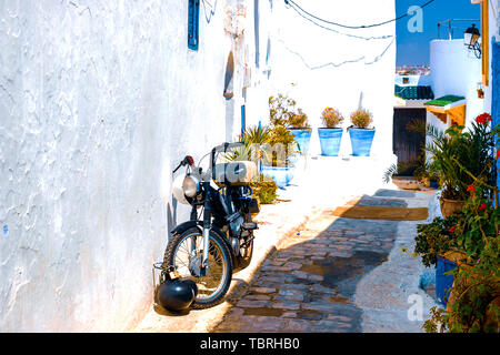 Rue traditionnel bleu et blanc, avec des plantes et des palmiers en pots et un scooter près du mur, une moto dans la Médina de Rabat, Maroc, Afrique Banque D'Images