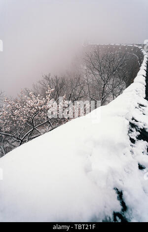 La Grande Muraille de Mutianyu Banque D'Images