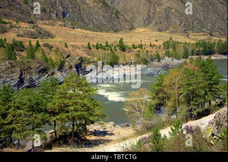 Le seuil sur la rivière Katun entouré de montagnes couvertes de forêts de conifères. L'Altaï, Sibérie, Russie. Banque D'Images