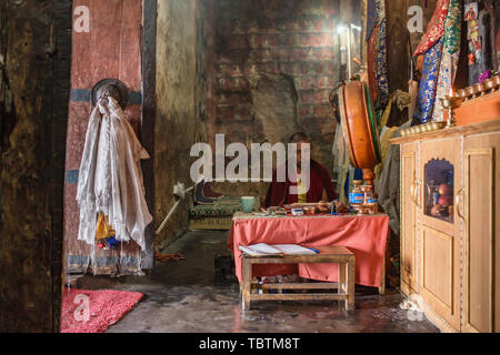 Moine bouddhiste tibétain prie au monastère de Thiksey gompa au Ladakh, Inde Banque D'Images