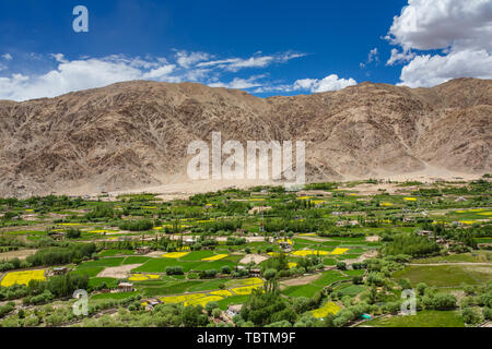 Belle vue de la ville de Leh et verte vallée de l'Indus, Ladakh, Inde. Banque D'Images