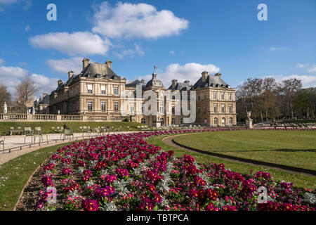 Bunte vor dem Frühlingsblumen Palais du Luxembourg, le Jardin du Luxembourg, Paris, Frankreich | fleurs de printemps coloré au Palais du Luxembourg, Luxembo Banque D'Images