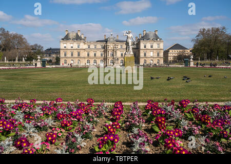 Bunte vor dem Frühlingsblumen Palais du Luxembourg, le Jardin du Luxembourg, Paris, Frankreich | fleurs de printemps coloré au Palais du Luxembourg, Luxembo Banque D'Images