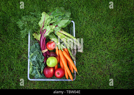 Panier de fruits et légumes colorés, sur l'herbe verte. Composition horizontale. Vue de dessus Banque D'Images