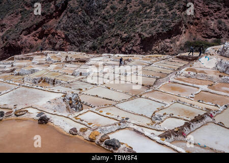 Salineras de Maras est une mine de sel près de Cusco, Pérou Banque D'Images