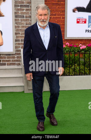 Los Angeles, CA - 02 juin 2019 : Harrison Ford assiste à la première de Universal Pictures' 'La vie secrète des animaux domestiques 2' s'est tenue au Regency Village Theatre Banque D'Images