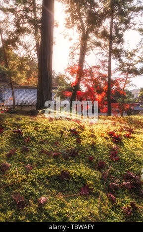 Journée d'automne au Temple Zen de Nan Banque D'Images