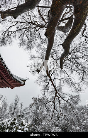 Photographié en 2018, la première neige de Mingxiao mausolée est précieux et se lève tôt le matin. Les visiteurs de saisir rapidement quelques photos avant qu'ils viennent. La neige lourde toiture ajoute un peu de poids historique d'anciens bâtiments et d'arbres. Banque D'Images