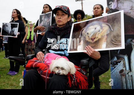 (NOTE DU RÉDACTEUR : Image représente la mort) d'un militant des droits de l'animal avec un chien sur ses genoux est titulaire d'une photo d'un bébé éléphant au cours de la 9e Journée des droits de l'animal national annuel à Los Angeles, Californie. L'événement comprenait une cérémonie commémorative et une marche funèbre pour les animaux qui sont abattus pour la consommation de viande, meurent dans les laboratoires de recherche et l'industrie des cosmétiques. Organisateurs appelés à mettre fin à la cruauté envers les animaux et la souffrance. Banque D'Images