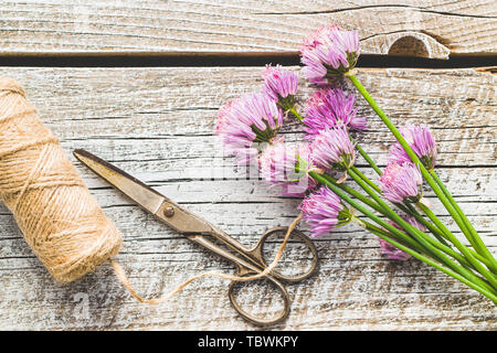 La ciboulette avec des fleurs sur la vieille table en bois. Banque D'Images