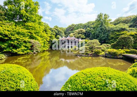 Jardin National de Shinjuku Gyoen à Tokyo Banque D'Images