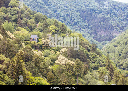 Plate-forme d'observation du parc Arashiyama Banque D'Images