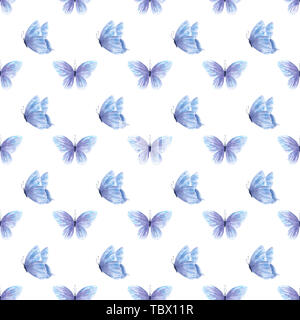 Papillons indigo élégant motif transparent raster Banque D'Images