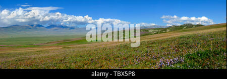 Bayinbrook au Xinjiang photographier des Prairies en août 2016 Banque D'Images