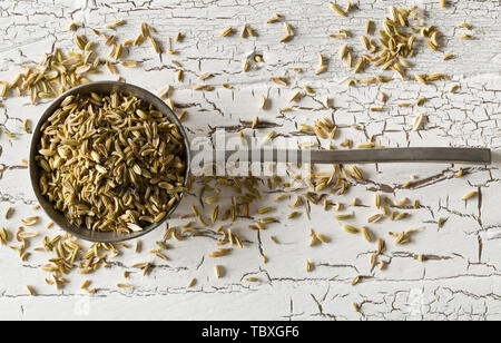 Les graines de fenouil séché en cuillère en métal rustique en bois blanc sur fond de table top voir télévision jeter de dessus avec selective focus Banque D'Images