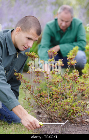 Homme de flou artistique le ratissage des feuilles au jardin Banque D'Images