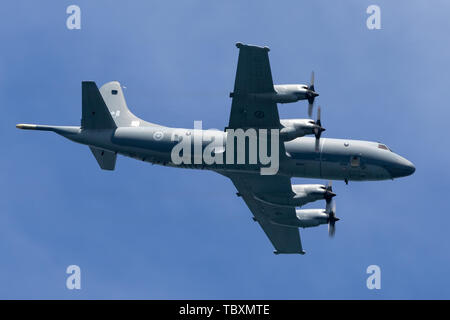 Marine Royale Canadienne Lockheed CP-140 Aurora de patrouille maritime et de lutte anti-sous-marine aircraft 140114. Banque D'Images