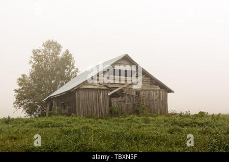 Une vieille grange maison se trouve sur le champs d'été sur un matin brumeux dans les régions rurales de la Finlande. L'été est presque terminé et l'air devient plus froid. Banque D'Images