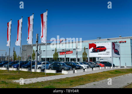 Centre Audi, Rudower avenue, eagle court, Treptow-Köpenick, Berlin, Allemagne, Audi Zentrum, Rudower Chaussee, Adlershof, Deutschland Banque D'Images