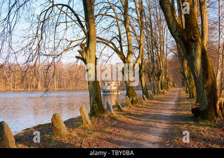 Allée sur le lac, le vieux pont d'observation sur l'étang, l'observation gazebo sur le lac, Kolosovka village, grand étang, région de Kaliningrad, Russie Banque D'Images