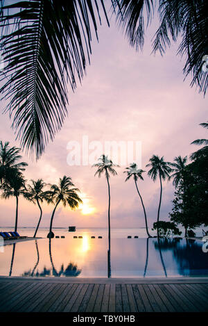 Ihuru Maldives Avril 2019. - La plage à sunsrise sur île tropicale avec palmiers. Nature et travel concept. Banque D'Images