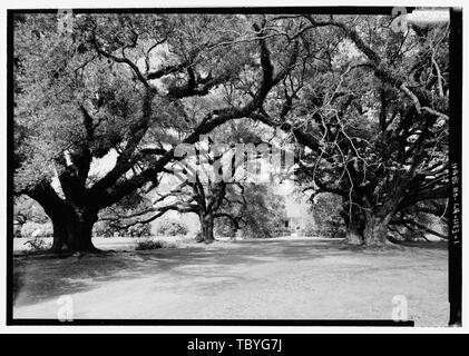 Magnolia Plantation, Louisiana Route 119, Natchitoches, Natchitoches parois, LA Lecompte, Ambrose Hertzog, Matthew Hertzog, Elizabeth Cane River Creole National Historical Park Atwell, Felicia, équipe terrain Carnahan, Brian, l'équipe de champ Sanders, Andrew, l'équipe terrain Tulejova, Oxana, équipe terrain Cane River National Heritage Area Commission, parrainer Morgan, Nancy I, M, prix promoteur, Virginie Barrett, émetteur Tulane University, School of Architecture, parrain, Eugène Cizek, faculté d Bremholm auteur, Tony, historien Boucher, Jack E, photographe Banque D'Images