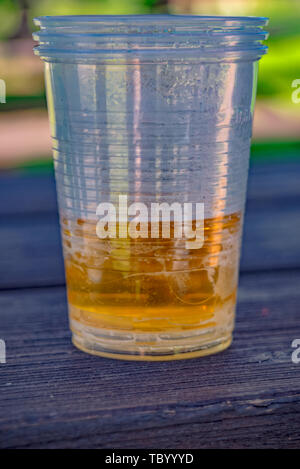 La bière dans une tasse en plastique Banque D'Images