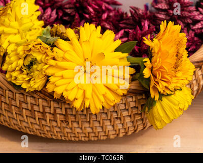 Les fleurs dans le panier de bambou Banque D'Images