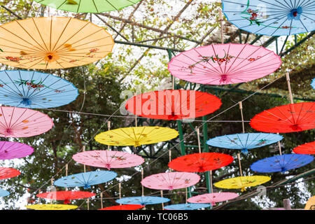 Artisanat traditionnel chinois l'huile peints à la main, parapluie de papier Banque D'Images