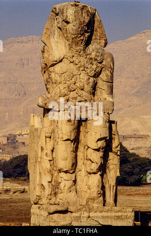 Louxor, Egypte. L'Ouest (ou sud) Colosse de Memnon, l'un des deux énormes statues de pierre du pharaon Amenhotep III Comité permanent dans la nécropole thébaine Banque D'Images