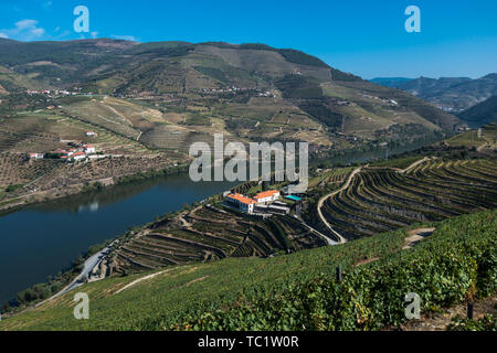 Regardant vers le bas sur les bâtiments dans un écrin de quinta vignobles en terrasses à flanc de la rivière dans la vallée du Douro en automne Banque D'Images