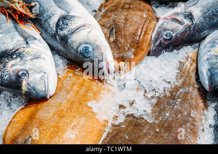 L'angle de la vie toujours élevée de matières premières diverses Poissons frais refroidissement sur lit de glace froide dans les fruits de mer de décrochage du marché. Banque D'Images