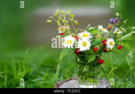 Branches de fraise mûre, rouge, blanc les marguerites et les feuilles de menthe dans un verre d'eau sur un moignon de bois dans le contexte de l'herbe verte Banque D'Images