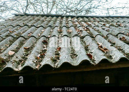 Vieux toit d'une maison en bois bardeaux couverts de mousse. Banque D'Images