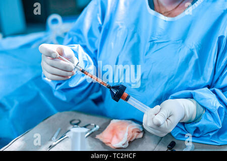 Tenir les mains d'une seringue de graisse et d'effectuer avec l'aide d'un outil de transfert de graisse dans la salle d'opération. Chirurgie Concept, la beauté, la chirurgie plastique, de l'obésité Banque D'Images