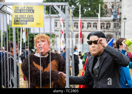 Londres, Royaume-Uni. 4 juin, 2019. Déguisés en militants Trump Président sous la forme d'un gorille et le dirigeant nord-coréen Kim Jong-um inscrivez-vous une protestation par des milliers de militants du changement climatique, les groupes de femmes, des étudiants, des pacifistes, des membres des syndicats et les familles contre la visite d'État du président américain Donald Trump le deuxième jour de sa visite de trois jours. Une grande opération de police a été mis en place afin de faciliter la manifestation mais d'empêcher l'accès à des zones immédiatement adjacentes à Downing Street, où des négociations étaient en cours entre le premier ministre Theresa Mai et président Trump. Credit : Mark Kerrison/Alamy L Banque D'Images