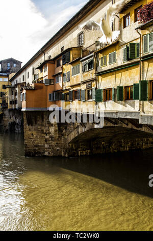 Florence, Florence, Italie. 18 déc, 2012. Ponte Vecchio Credit : Ricardo Ribas SOPA/Images/ZUMA/Alamy Fil Live News Banque D'Images