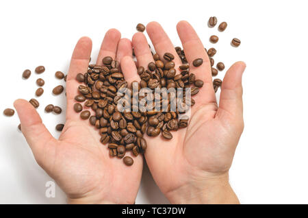 Dispersion des graines de café entre les mains de l'homme sur un fond blanc. Banque D'Images