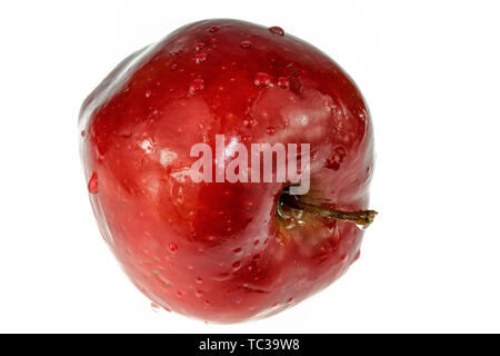 Fruits bio pomme rouge avec racine feuilles isolé sur fond blanc. Vue sur un bio fruits bio d'Apple avec la goutte d'eau Banque D'Images