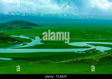 Bayinbrook Prairie, Yili, Xinjiang Banque D'Images