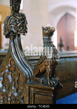 15e siècle bois sculpté fin banc de Griffin, l'église St Mary, peignes, Suffolk. Banque D'Images