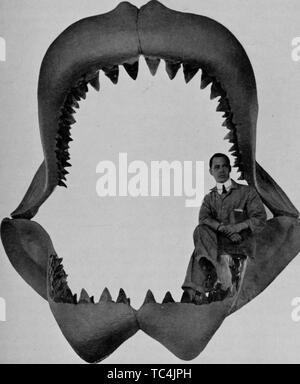Photo d'un homme assis dans les mâchoires de Carcharodon Megalodon, du livre "Guide notice' par le Musée Américain d'Histoire Naturelle, 1901. Avec la permission de Internet Archive. () Banque D'Images